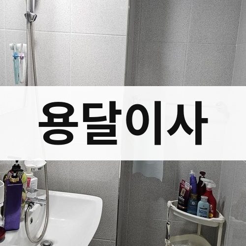 전북 서부 용달이사 포장이사
