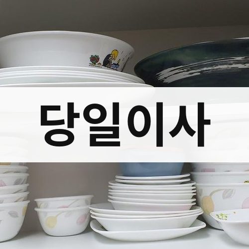 전북 서부 당일이사 포장이사